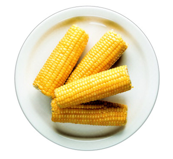 From the Freezer Other
