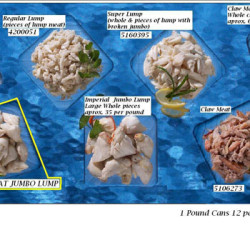 Hotel Food Supplies: Jumbo Lump Crab Meat 12 x 1 lb (B.Star)