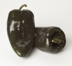 Poblanos Peppers