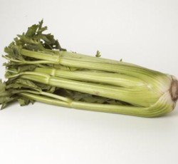 Celery 36 ct
