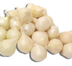 Pearl White Onions 12 x pint
