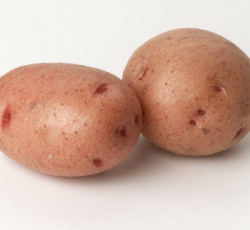 Red Fresh Potatoes