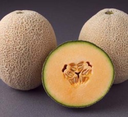 Canteloupe Melons