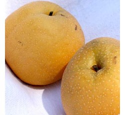 Asain Pears