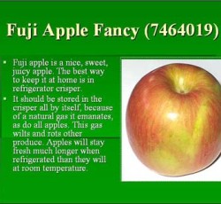 Fuji Apples 88 ct