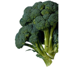 Broccoli 14 CT.