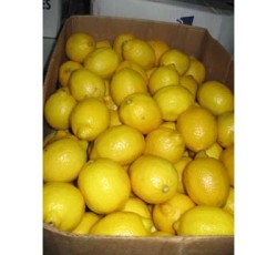 Lemons 165ct