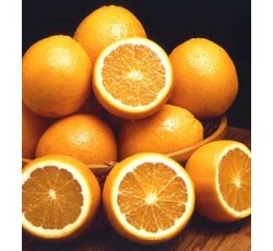 Oranges 100 ct